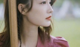 狗仔爆料李沁视频大全最新,狗仔视频大全揭秘